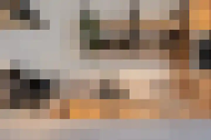 Slooyerbroek 14 Horst thumbnail 13