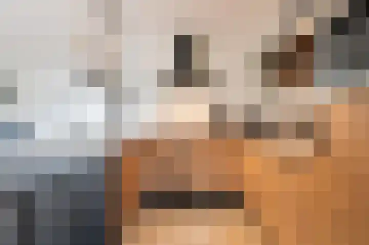 Slooyerbroek 14 Horst thumbnail 18