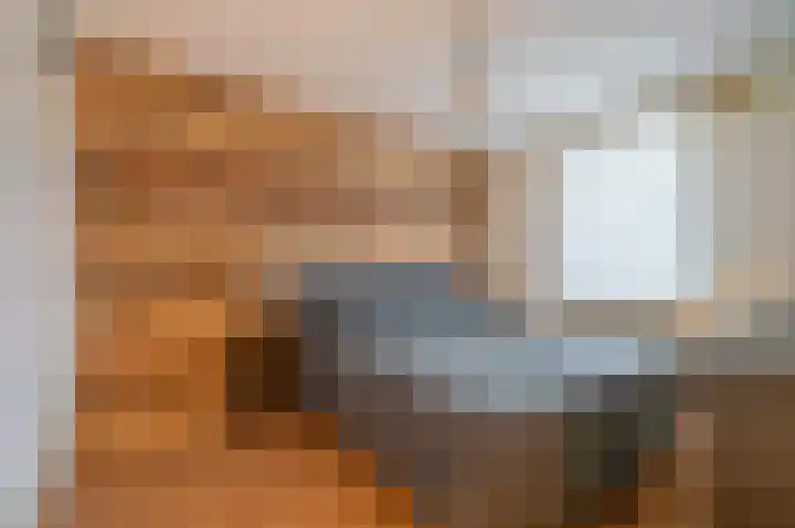Slooyerbroek 14 Horst thumbnail 24