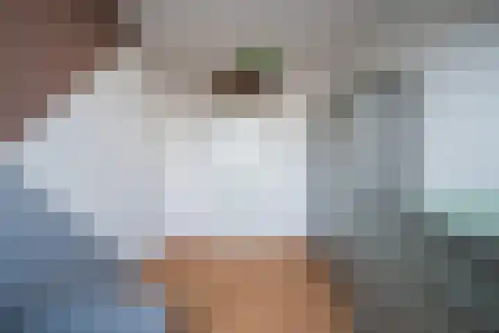 Slooyerbroek 14 Horst thumbnail 27
