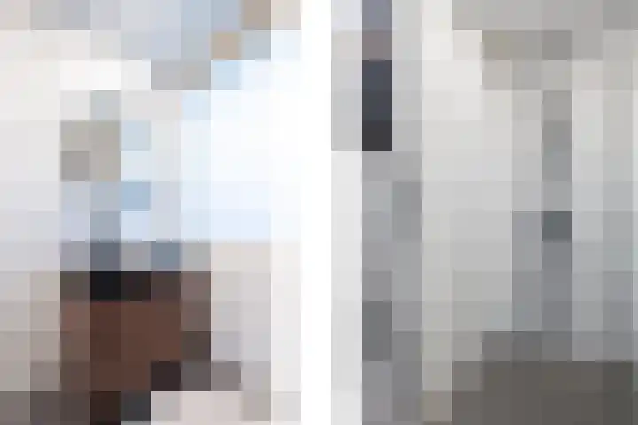 Slooyerbroek 14 Horst thumbnail 32