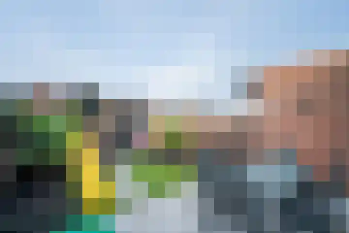 Slooyerbroek 14 Horst thumbnail 35