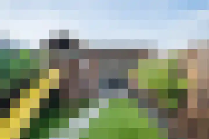 Slooyerbroek 14 Horst thumbnail 36