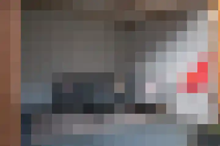 Slooyerbroek 14 Horst thumbnail 37