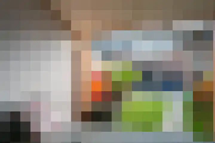 Slooyerbroek 14 Horst thumbnail 38
