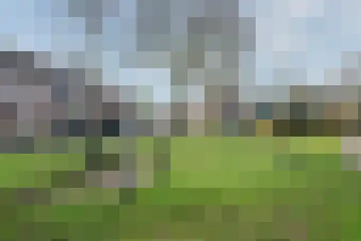 Slooyerbroek 14 Horst thumbnail 45