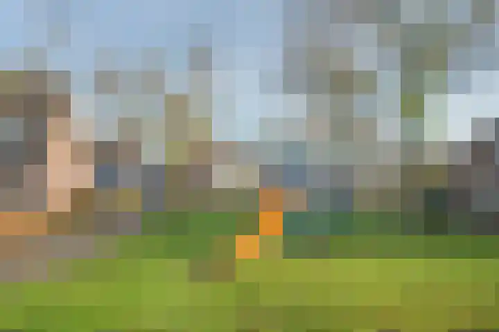 Slooyerbroek 14 Horst thumbnail 46