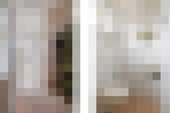 Slooyerbroek 14 Horst thumbnail 6