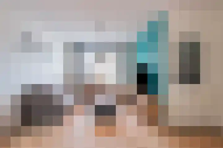 Slooyerbroek 14 Horst thumbnail 8
