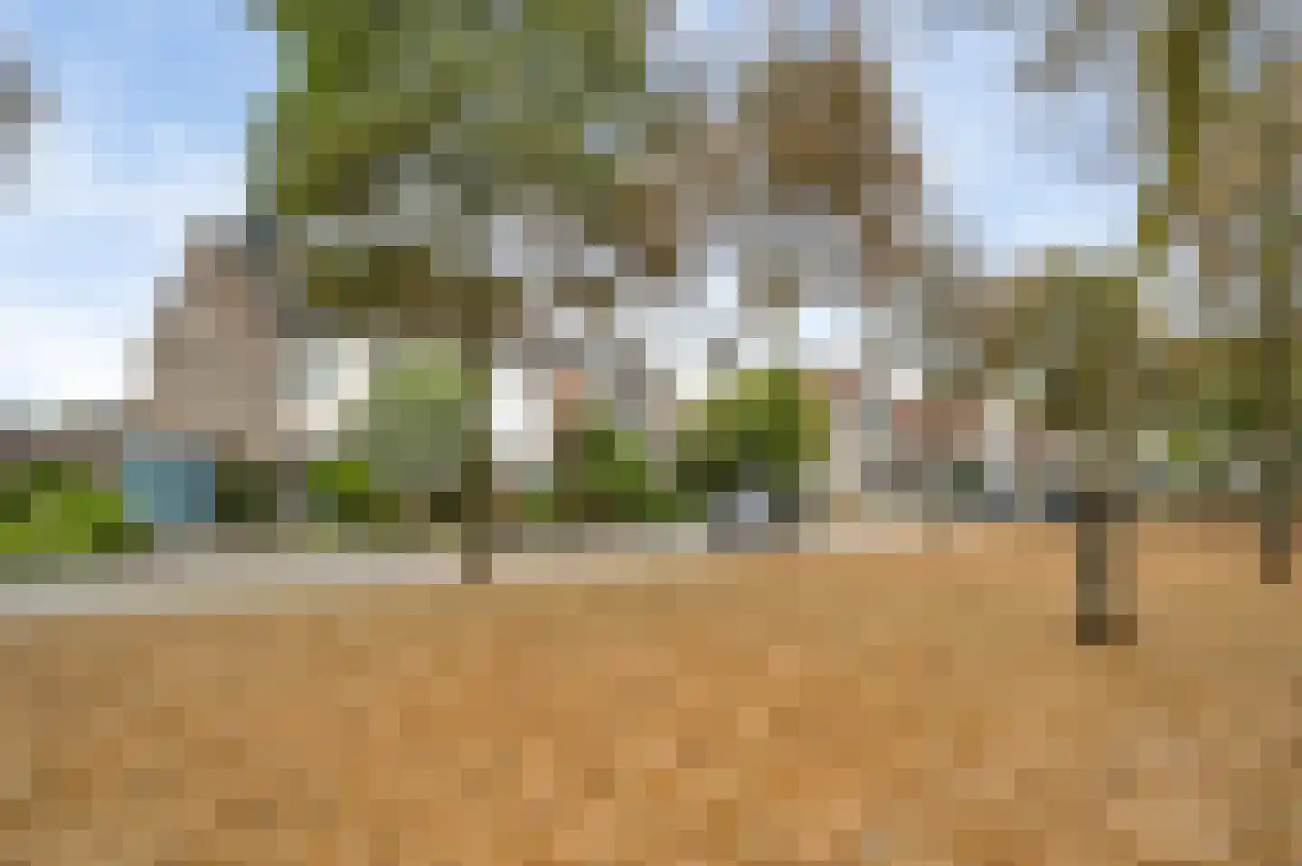 Slooyerbroek 19 Horst thumbnail 11