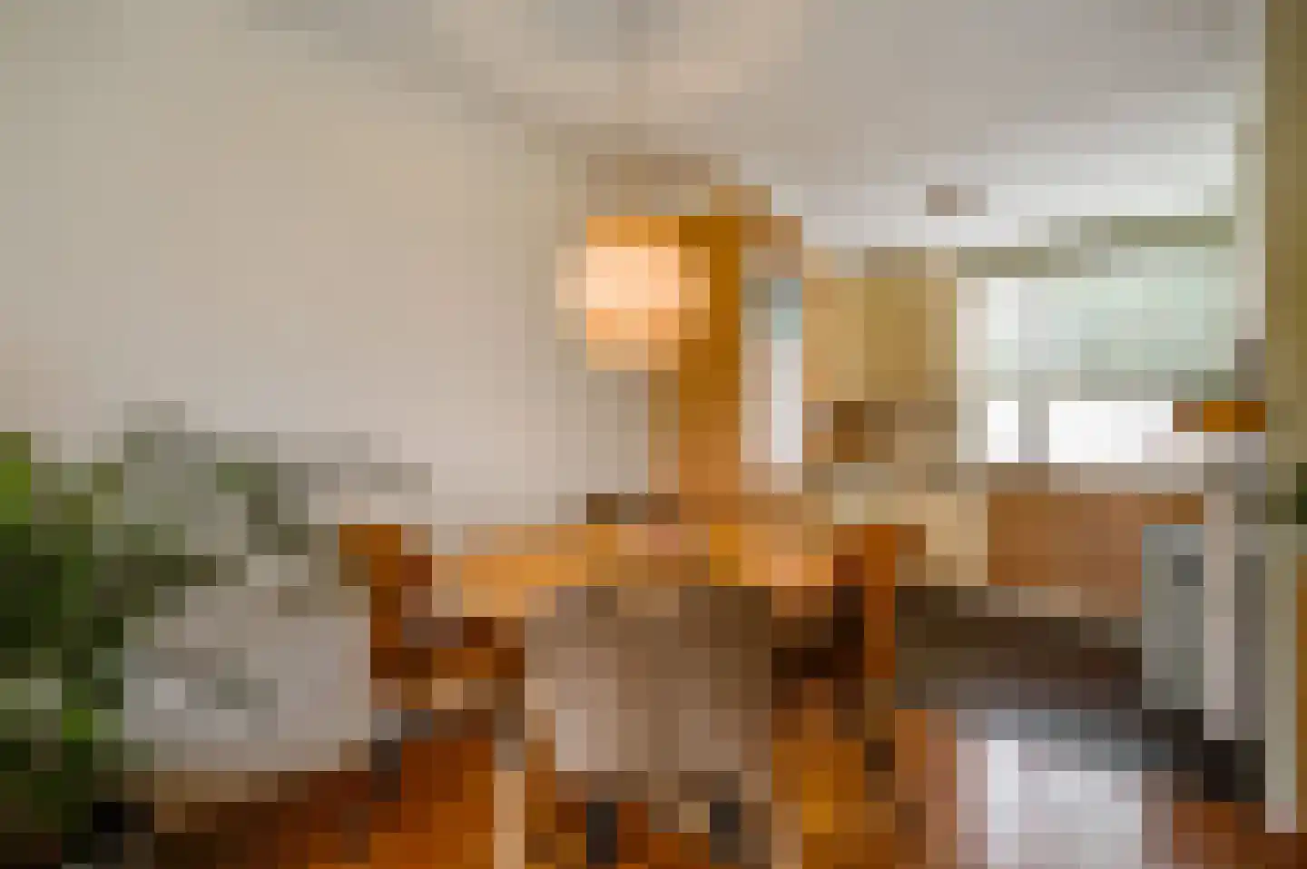 Slooyerbroek 19 Horst thumbnail 22