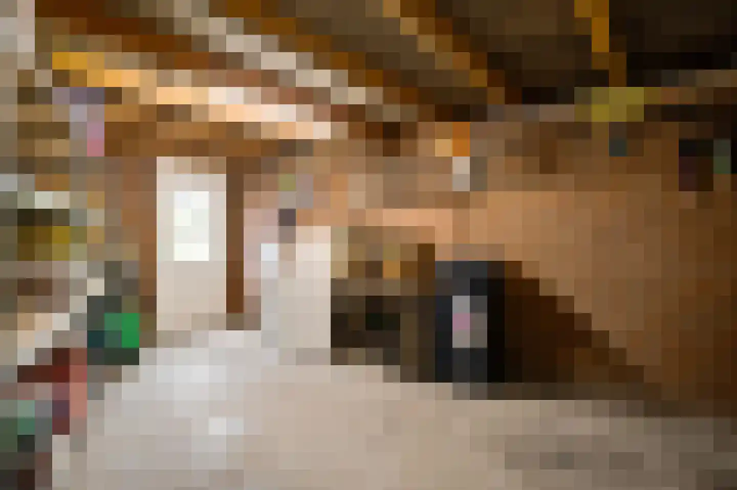 Slooyerbroek 19 Horst thumbnail 28