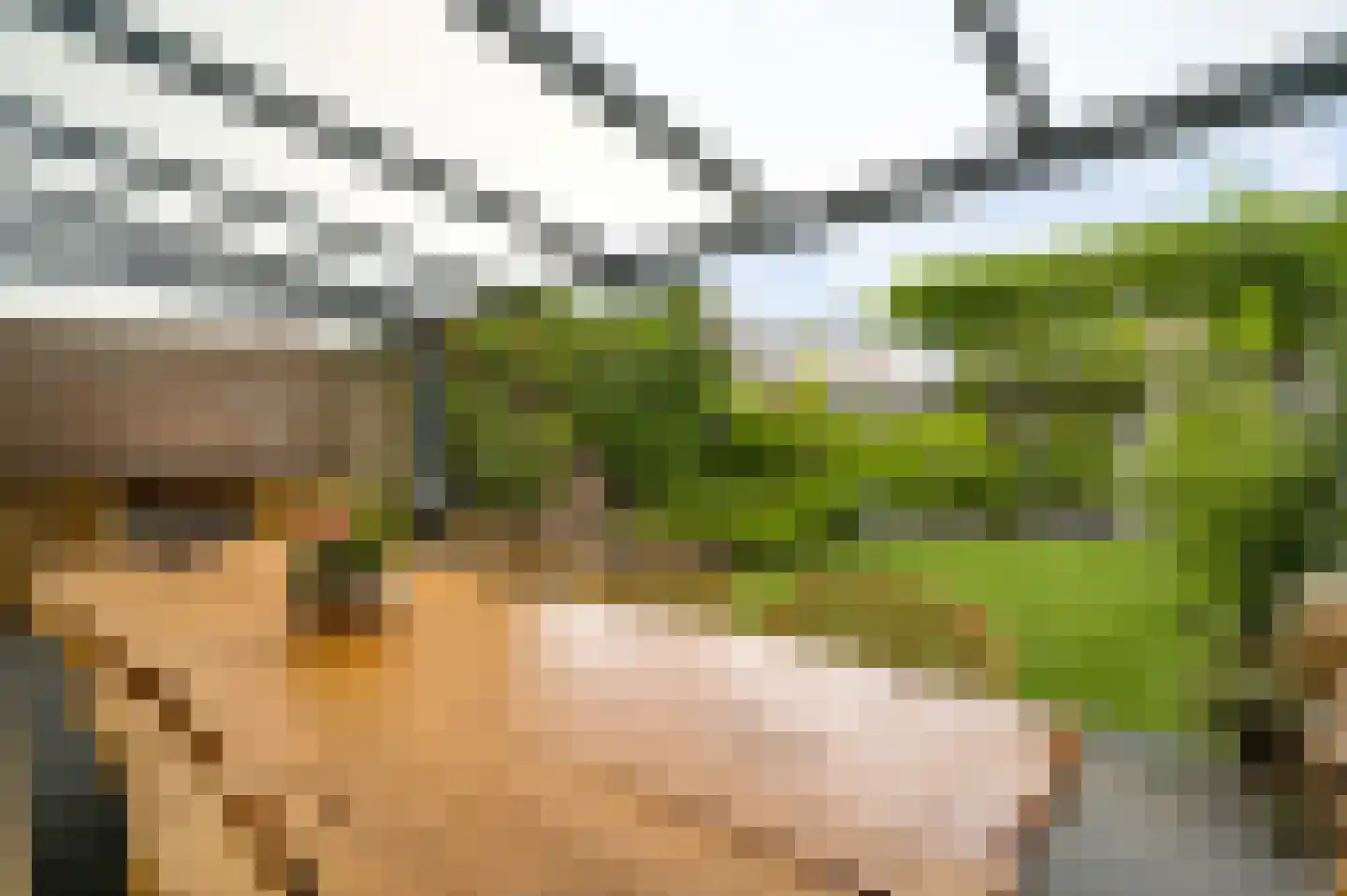 Slooyerbroek 19 Horst thumbnail 31