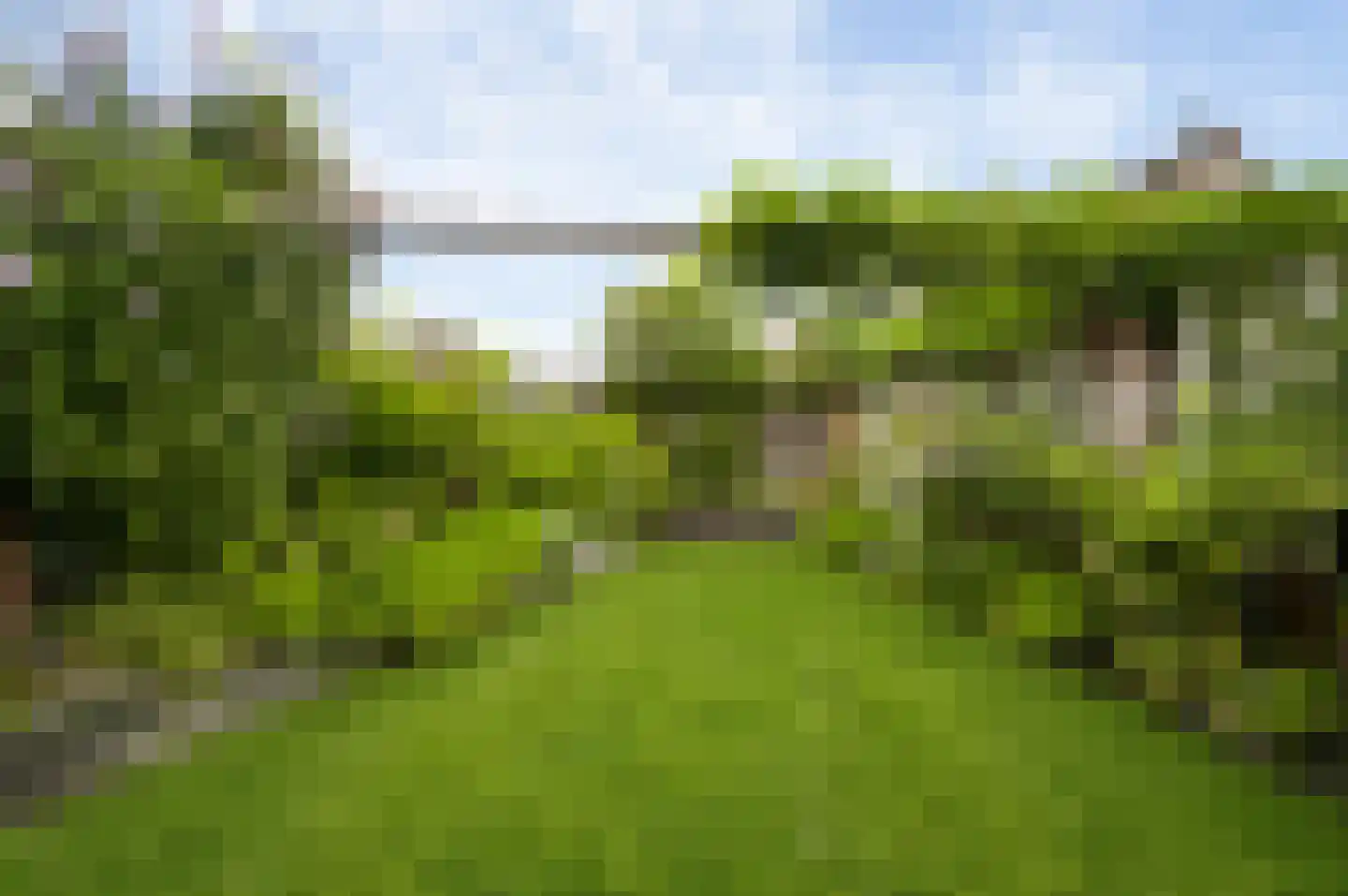 Slooyerbroek 19 Horst thumbnail 32