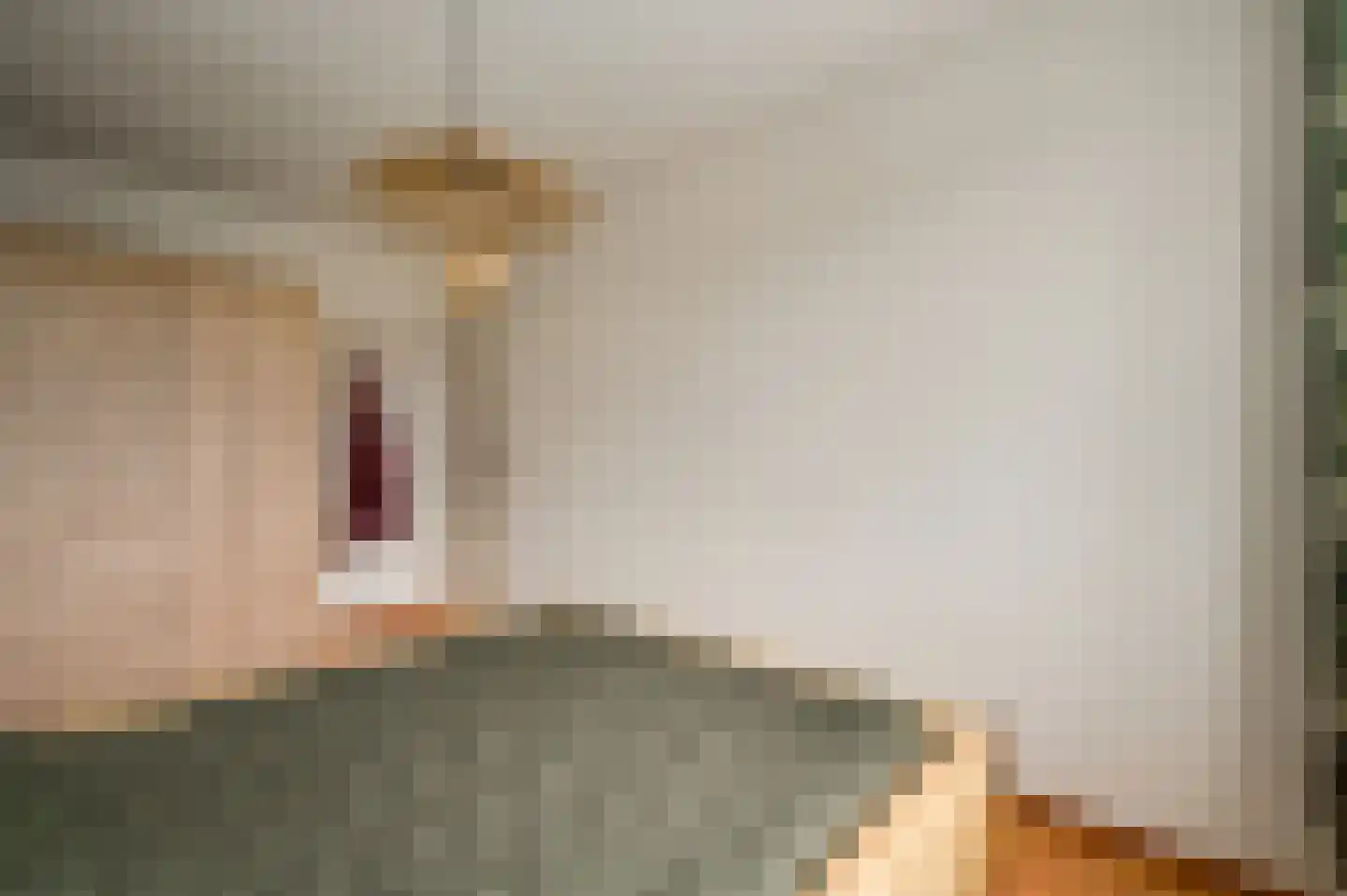 Slooyerbroek 19 Horst thumbnail 36
