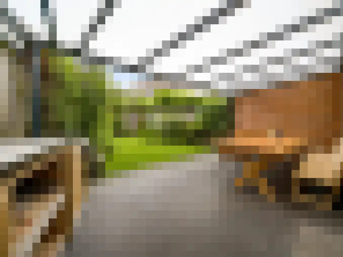 Slooyerbroek 19 Horst thumbnail 4