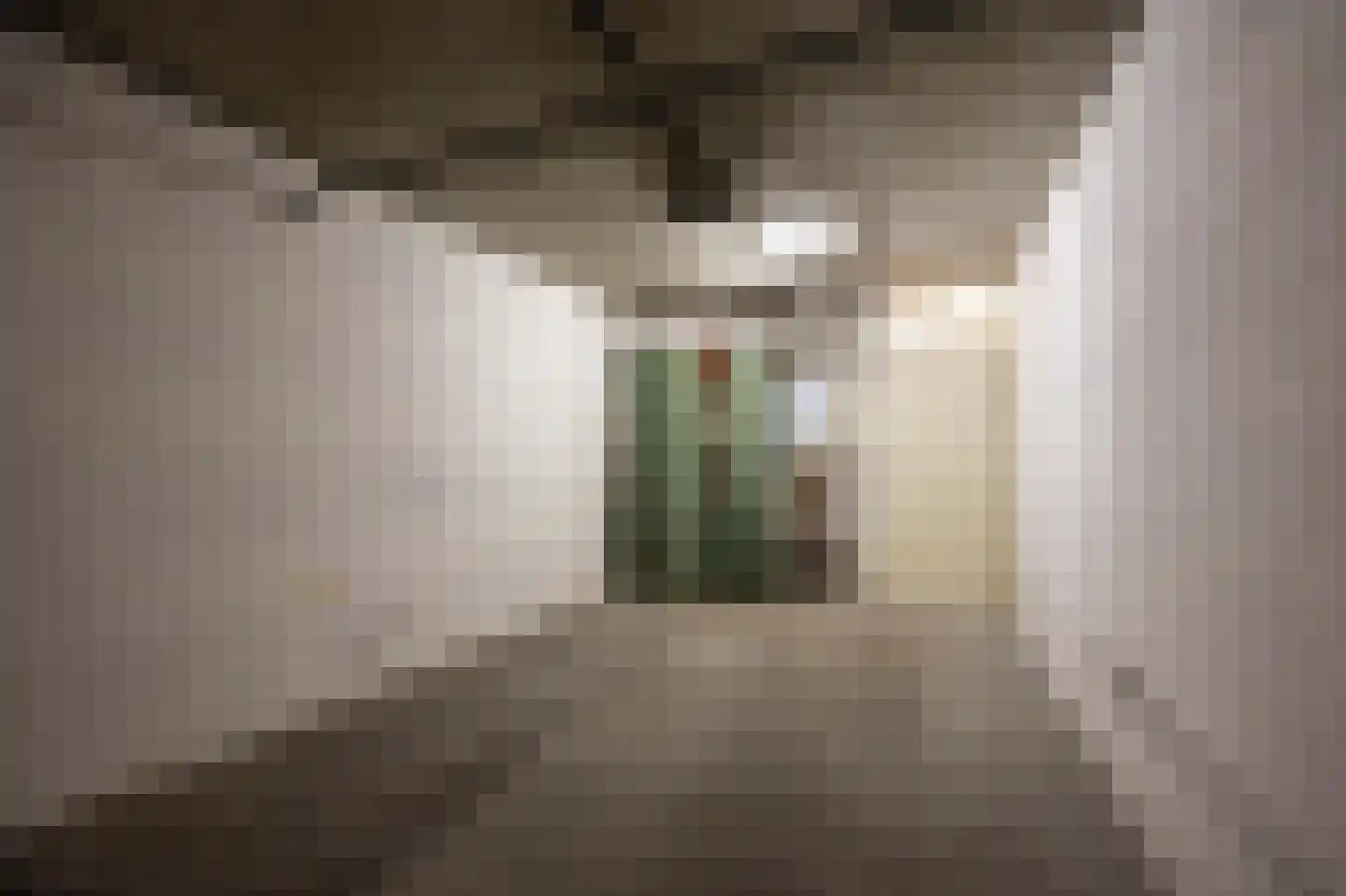 Slooyerbroek 45 Horst thumbnail 21