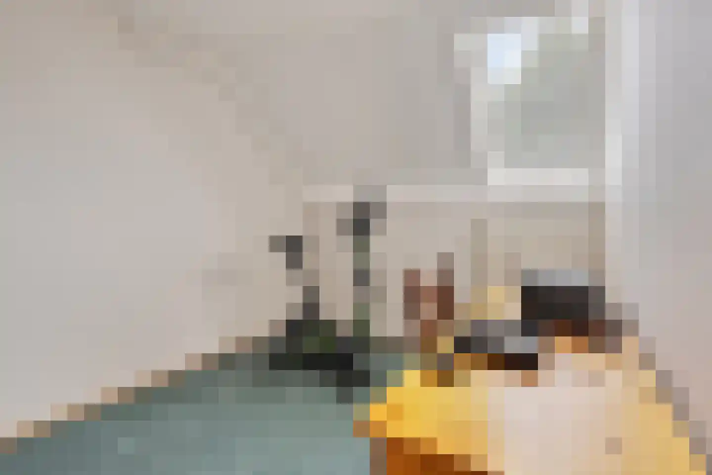 Slooyerbroek 63 Horst thumbnail 17