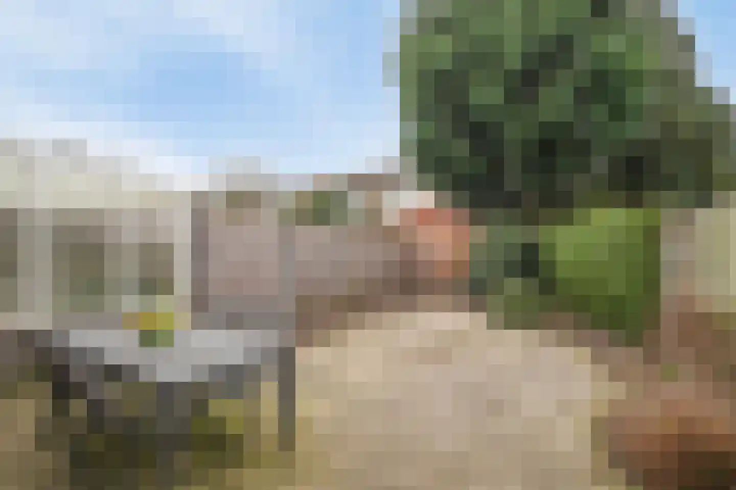 Slooyerbroek 63 Horst thumbnail 23
