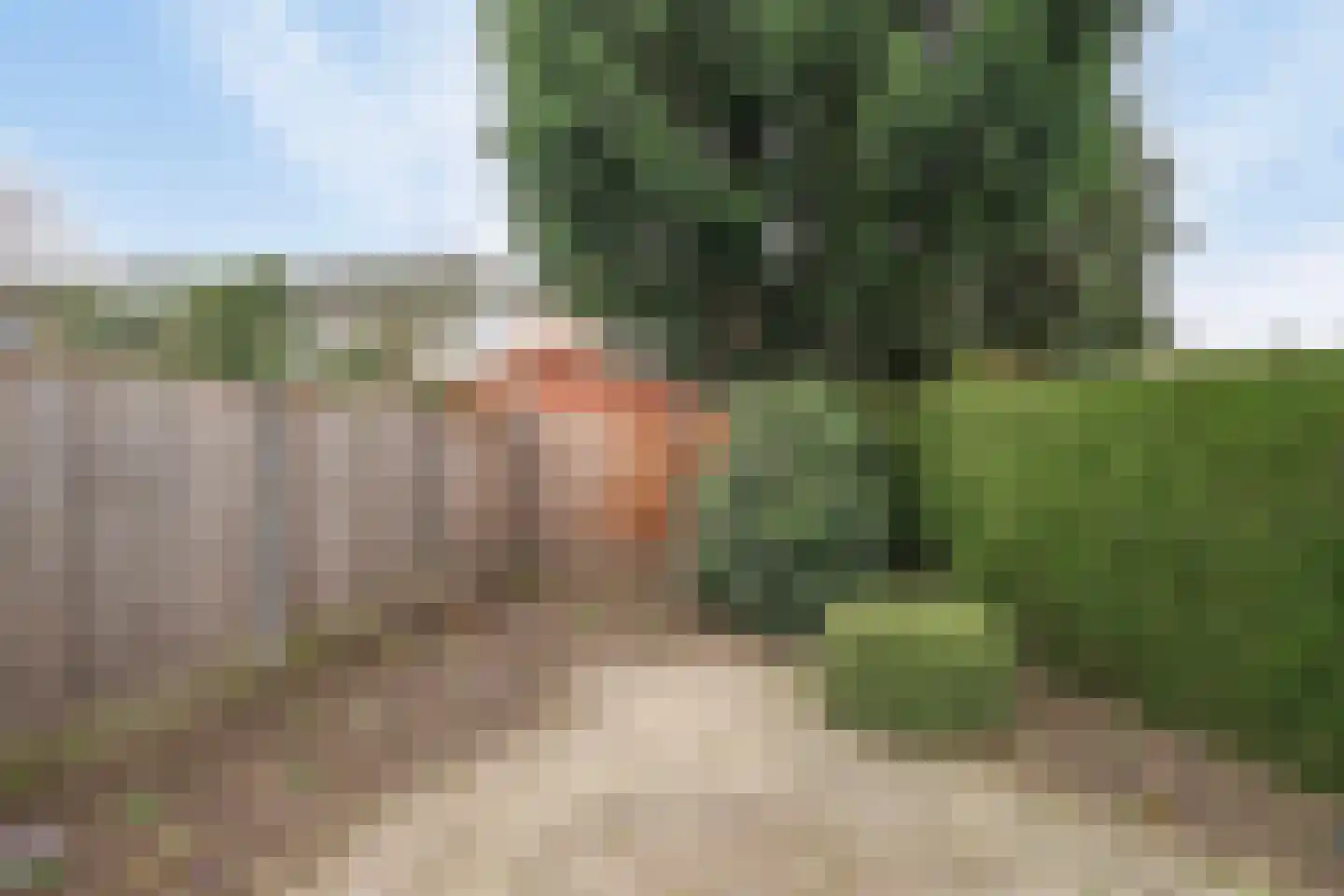 Slooyerbroek 63 Horst thumbnail 24