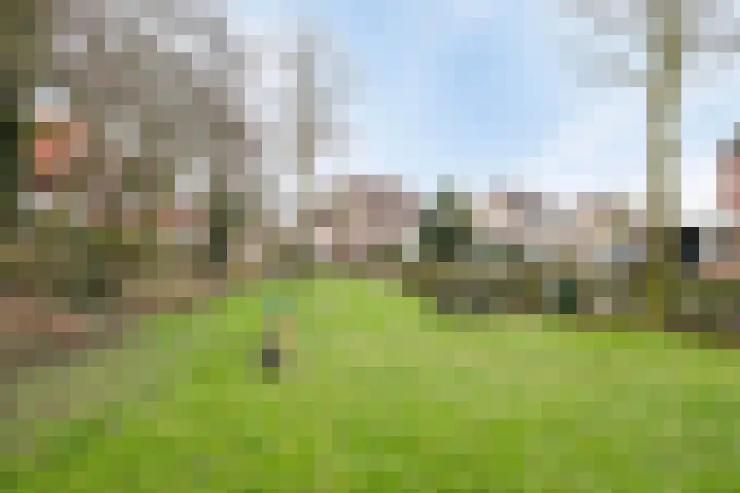 Slooyerbroek 63 Horst thumbnail 31