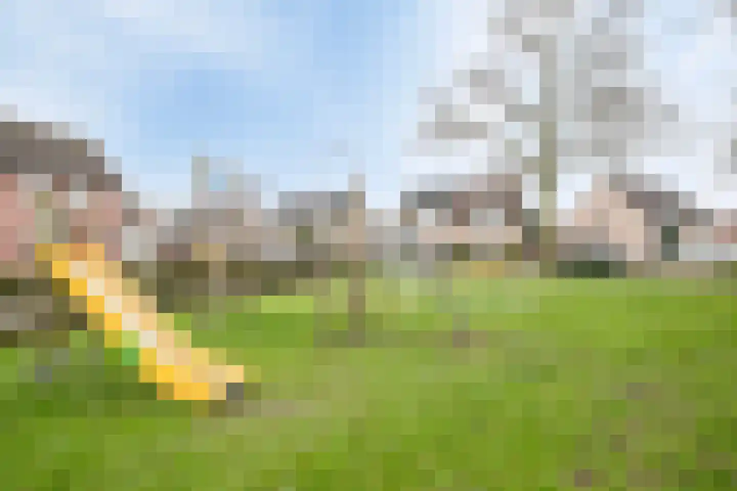 Slooyerbroek 63 Horst thumbnail 32