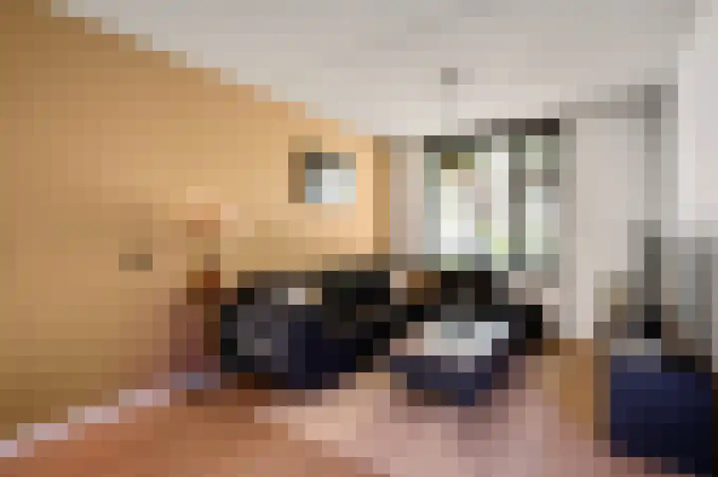 Slooyerbroek 7 Horst thumbnail 12