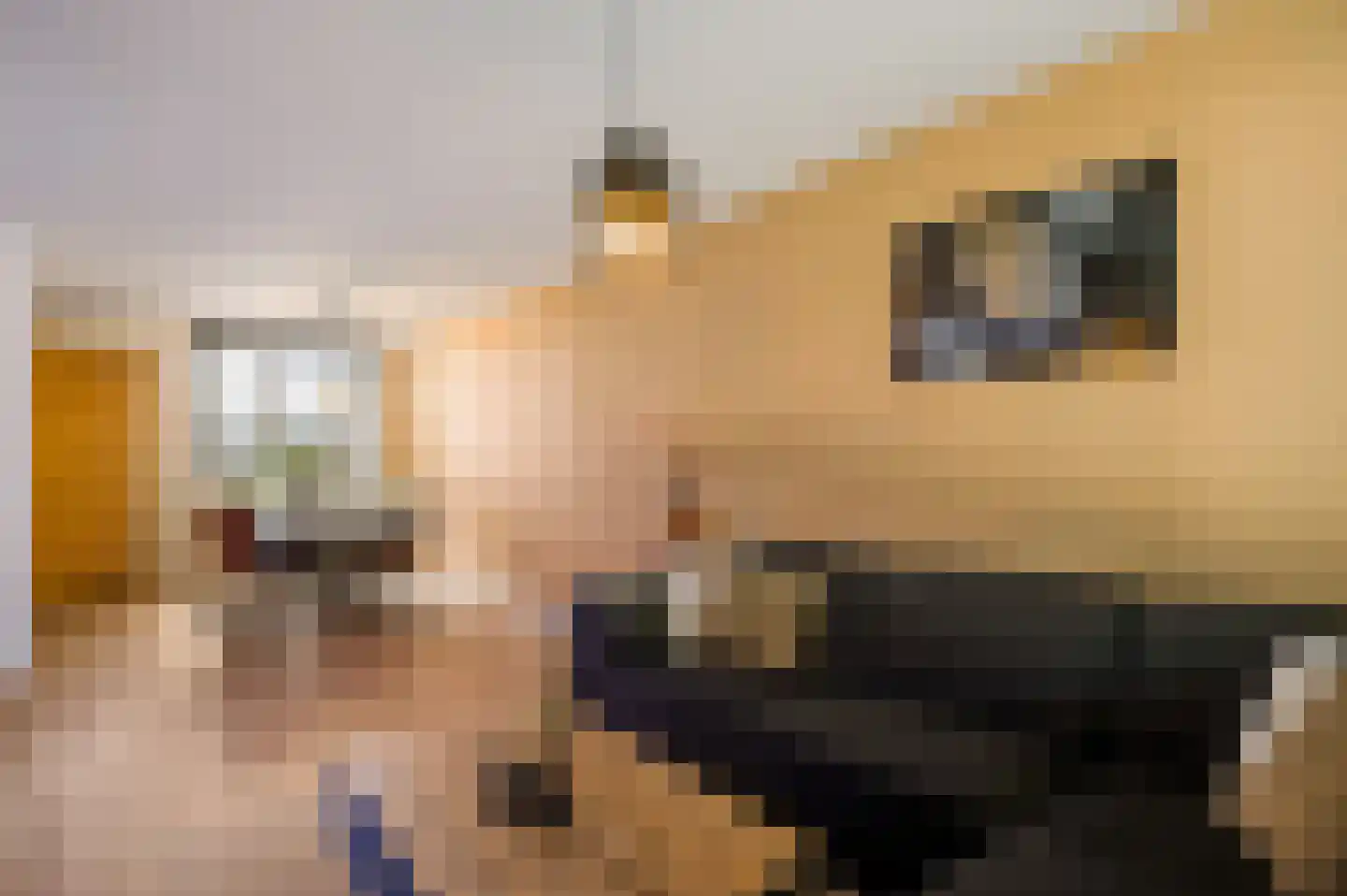 Slooyerbroek 7 Horst thumbnail 13