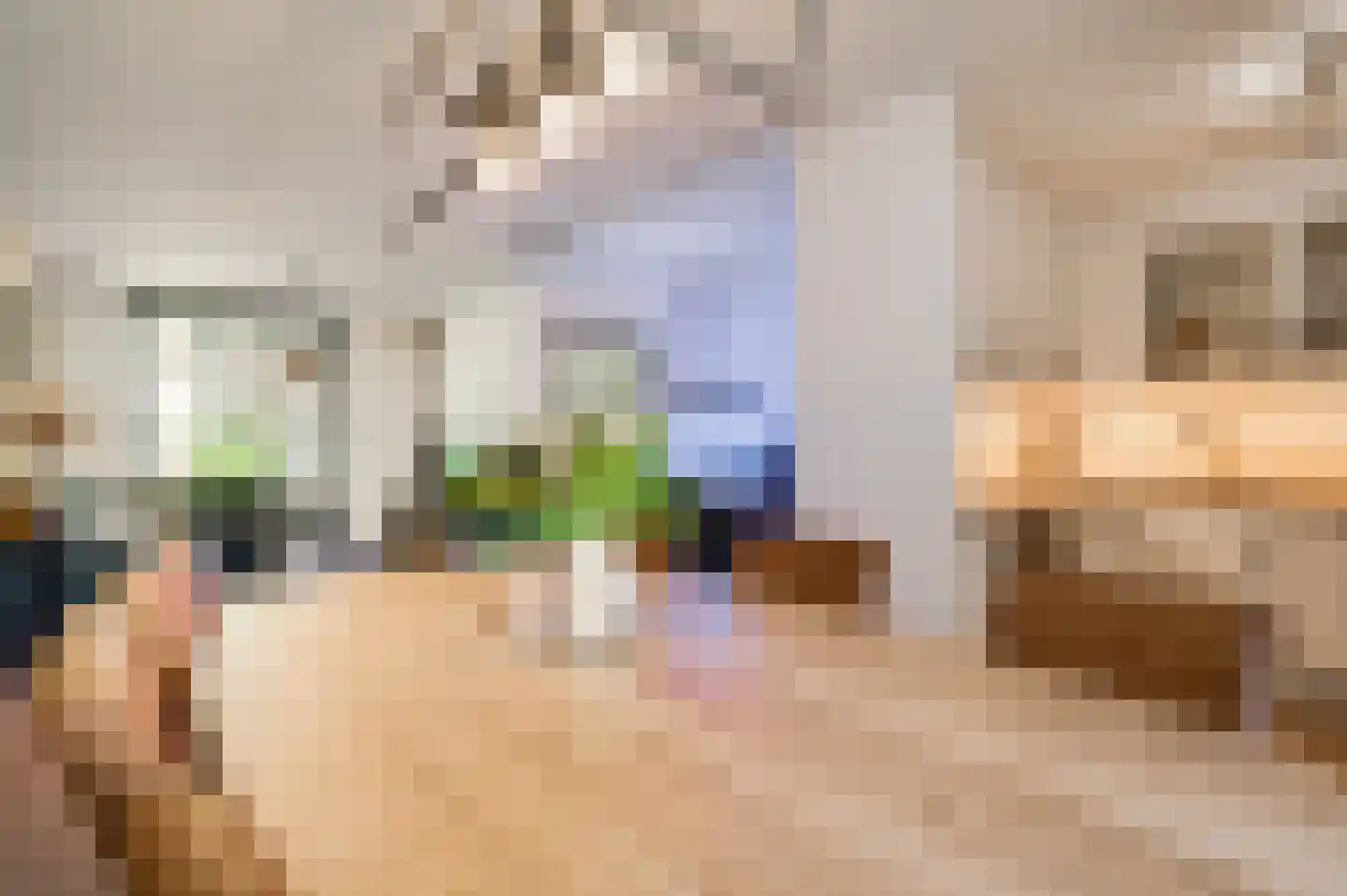 Slooyerbroek 7 Horst thumbnail 15