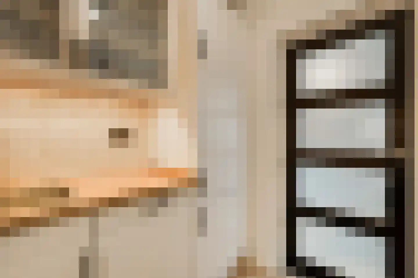 Slooyerbroek 7 Horst thumbnail 17