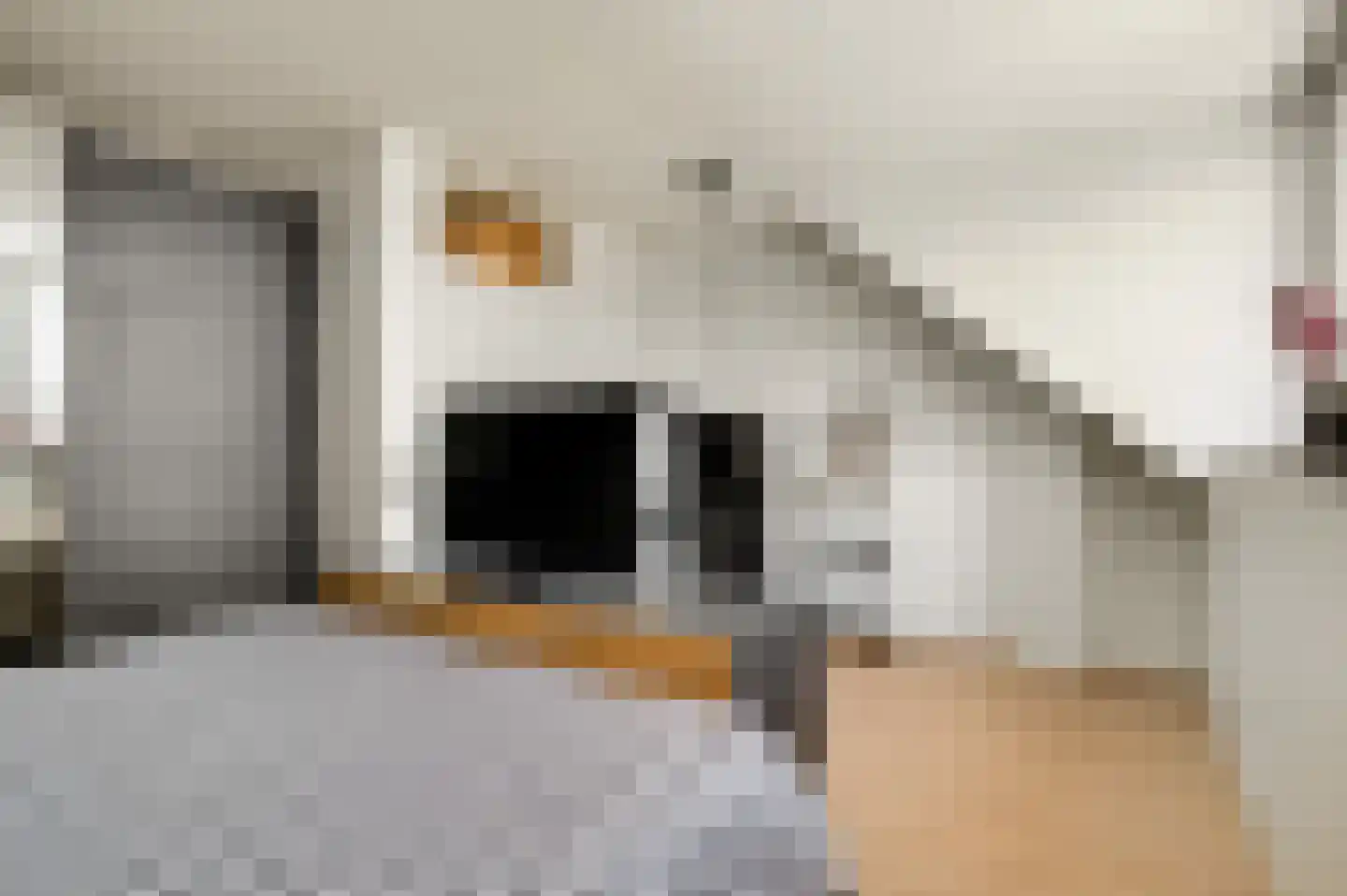 Slooyerbroek 7 Horst thumbnail 23