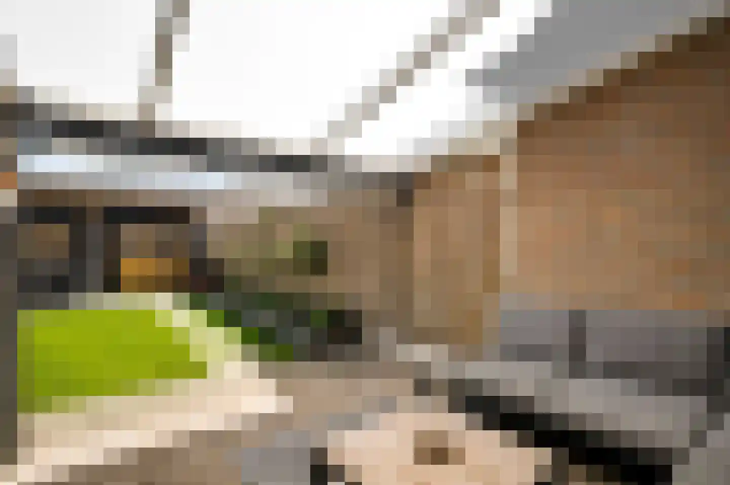 Slooyerbroek 7 Horst thumbnail 28