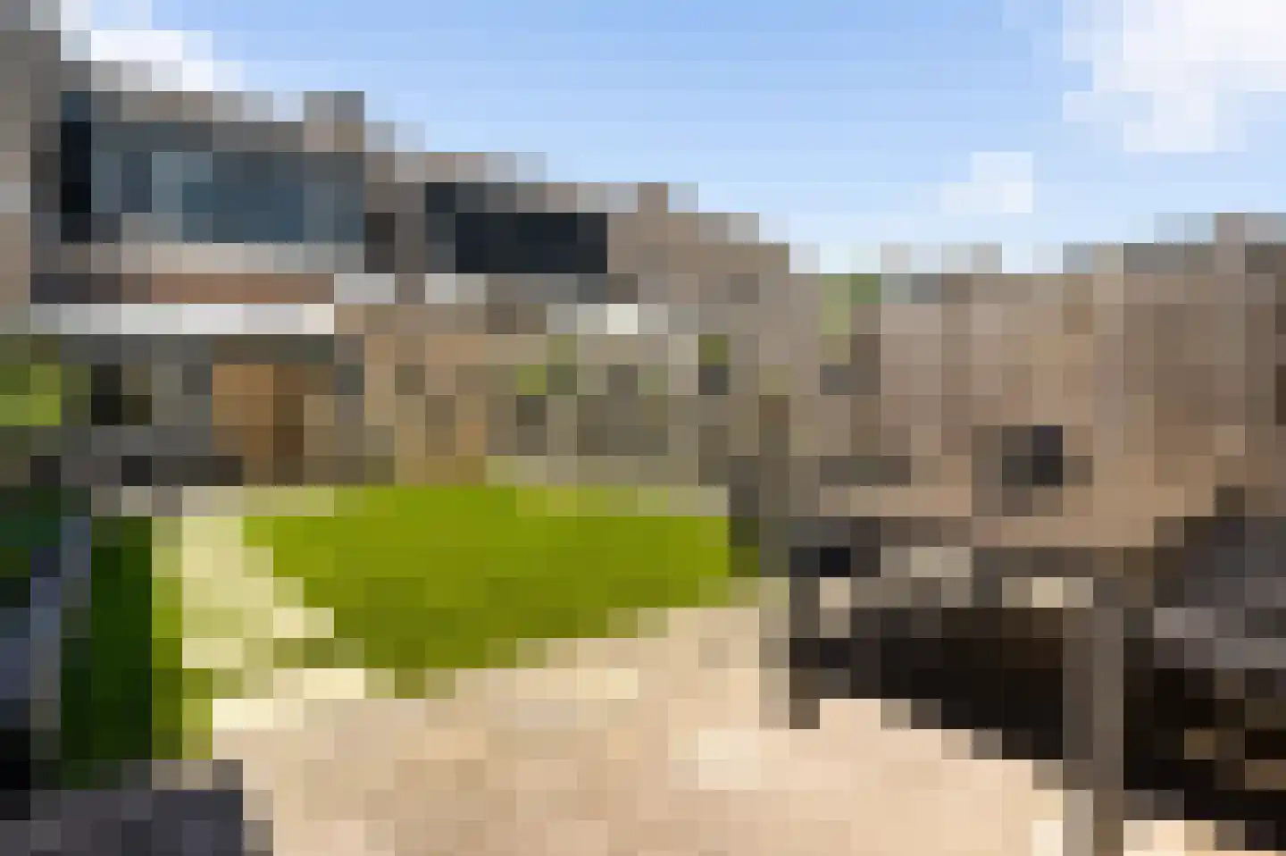 Slooyerbroek 7 Horst thumbnail 31
