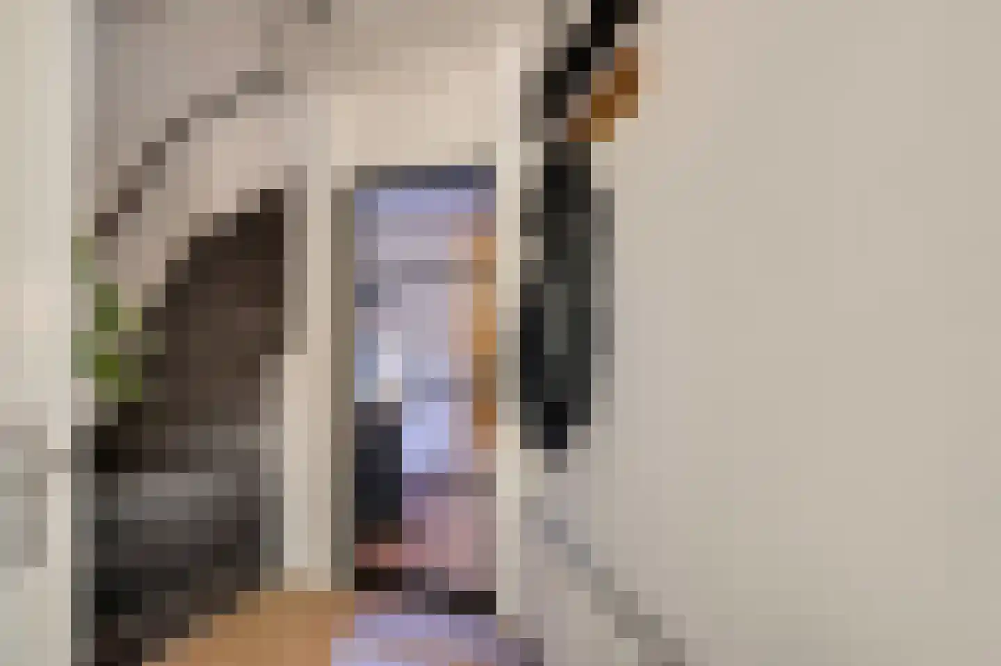 Slooyerbroek 7 Horst thumbnail 8