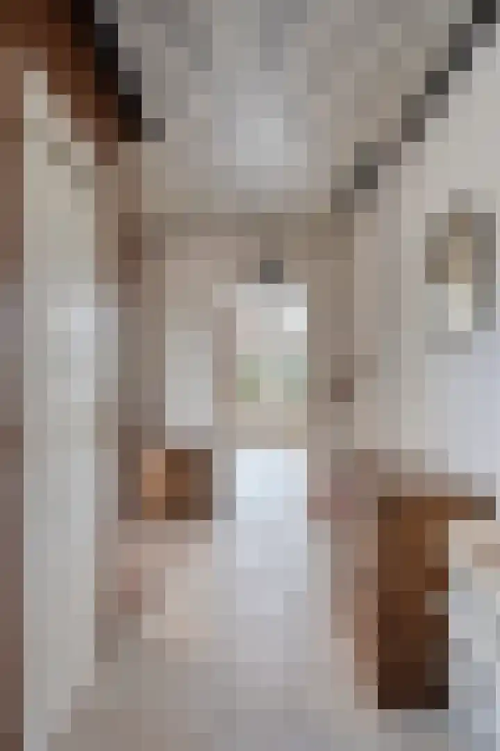 Sloppenbrugge 27 Rijsenhout thumbnail 12