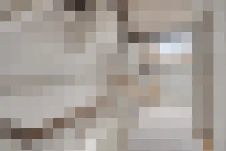 Sloppenbrugge 27 Rijsenhout thumbnail 22