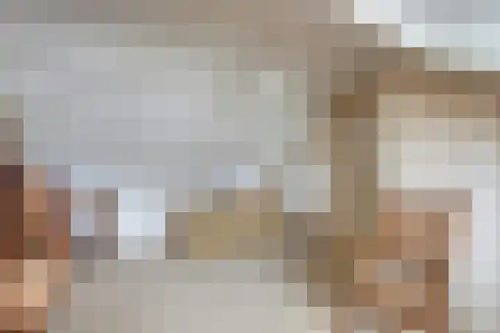 Sloppenbrugge 27 Rijsenhout thumbnail 24