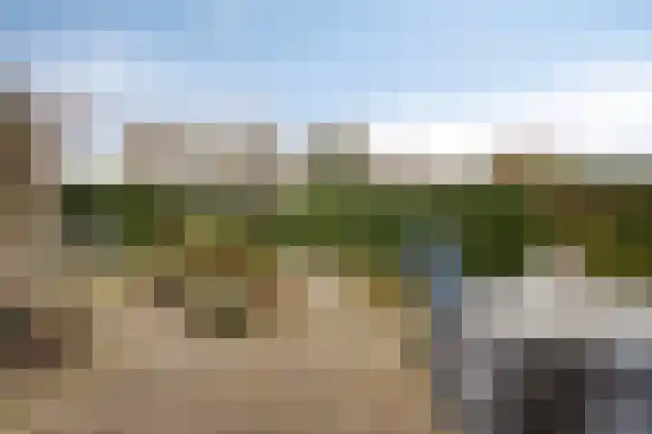 Sloppenbrugge 27 Rijsenhout thumbnail 25