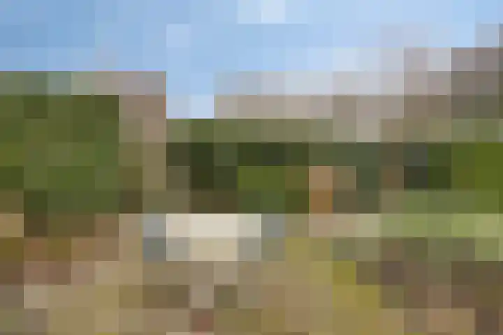 Sloppenbrugge 27 Rijsenhout thumbnail 26