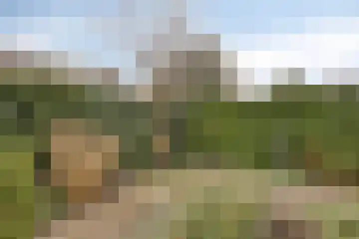 Sloppenbrugge 27 Rijsenhout thumbnail 27