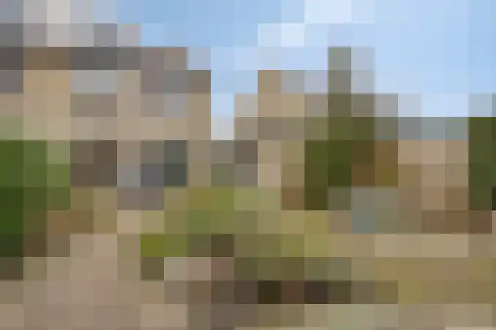 Sloppenbrugge 27 Rijsenhout thumbnail 28