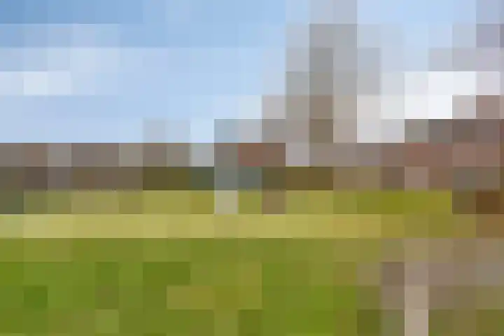 Sloppenbrugge 27 Rijsenhout thumbnail 29
