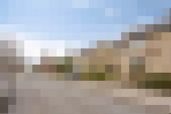 Sloppenbrugge 27 Rijsenhout thumbnail 30