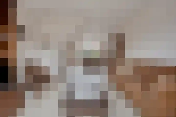 Sloppenbrugge 27 Rijsenhout thumbnail 5