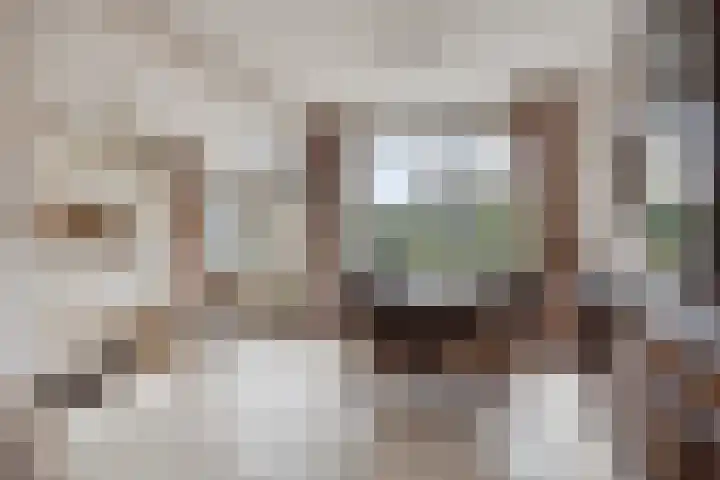 Sloppenbrugge 27 Rijsenhout thumbnail 6