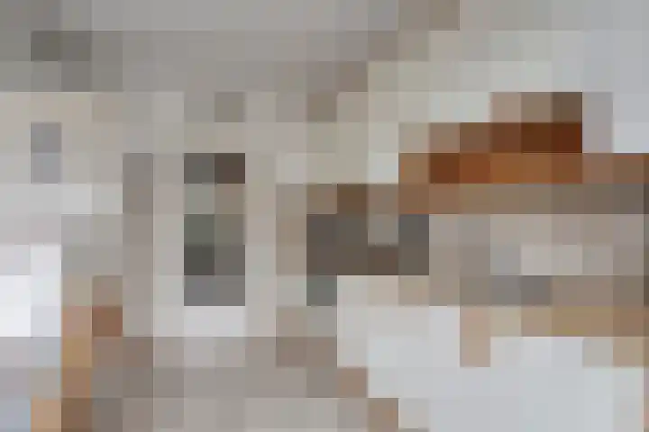Sloppenbrugge 27 Rijsenhout thumbnail 8