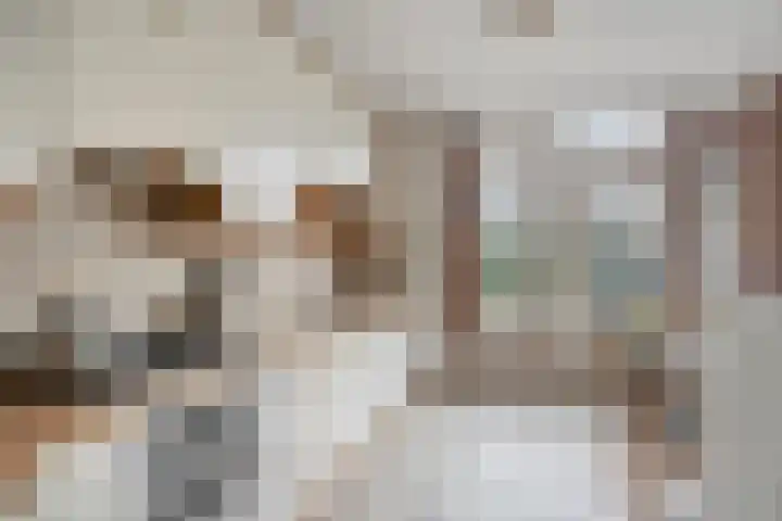 Sloppenbrugge 27 Rijsenhout thumbnail 9