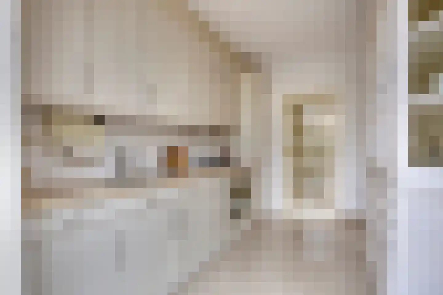 Sloppenbrugge 29 Rijsenhout thumbnail 11