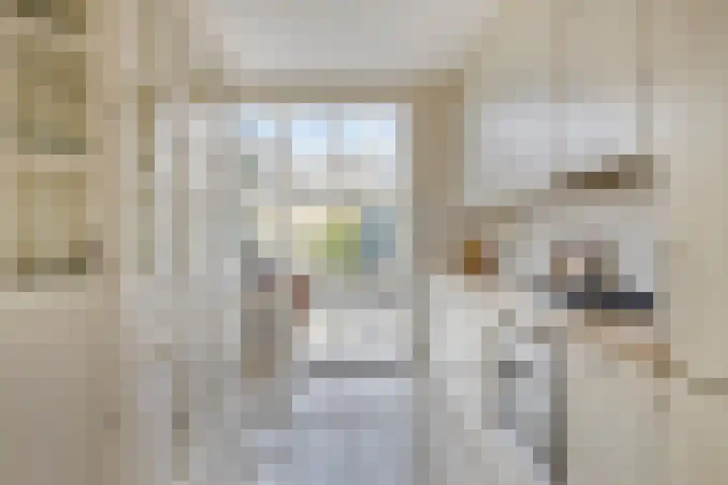 Sloppenbrugge 29 Rijsenhout thumbnail 12