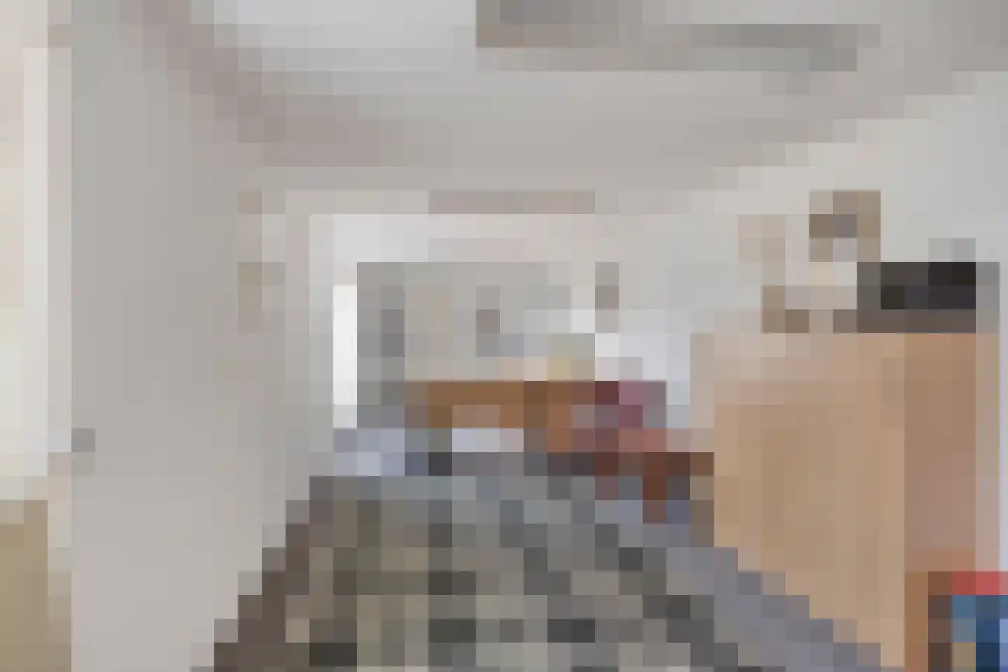 Sloppenbrugge 29 Rijsenhout thumbnail 13
